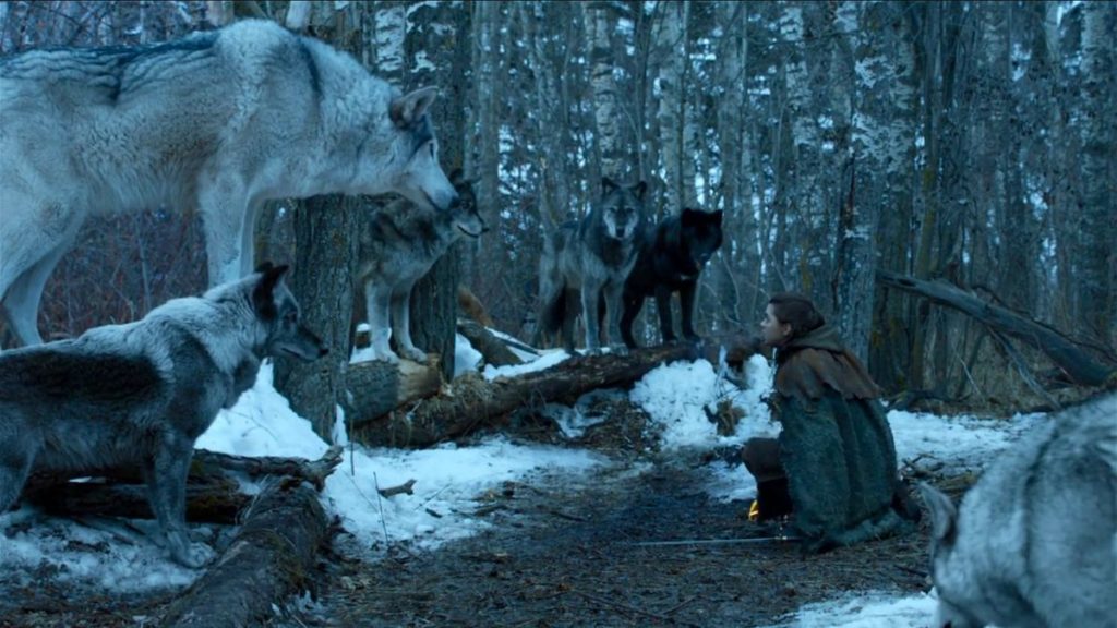 La temporada final descartó una batalla de 50 lobos huargos atacando a un dragón