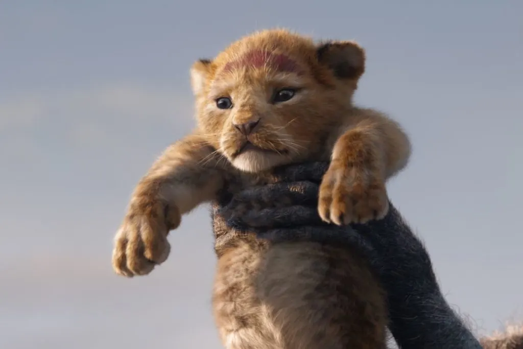 simba el rey león