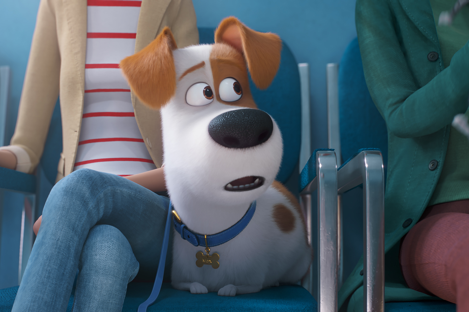 La vida secreta de tus mascotas película