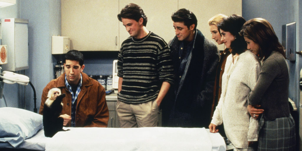 Una de las estrellas de Friends protagonizará la serie