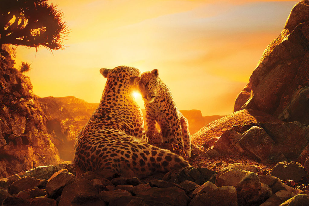 Netflix peca de demasiado ambicioso al producir esta docuserie que debes ver