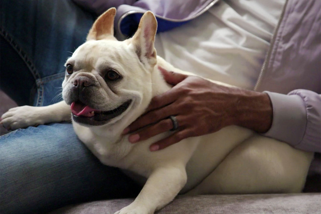 Los Fab 5 despiden a Bruley