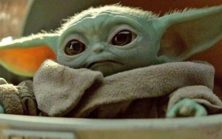 No podrás dejar de reírte con estos hermosos memes sobre Baby Yoda