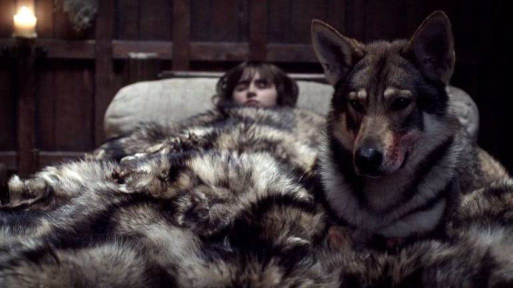 Falleció el perro que interpretó al lobo huargo de Bran Stark