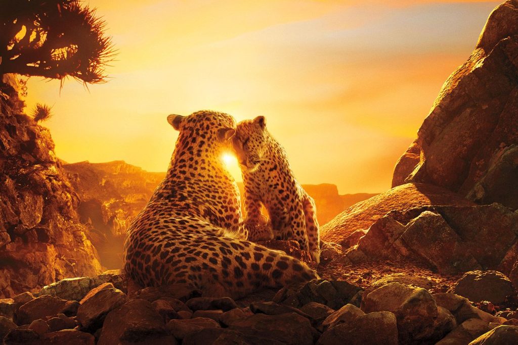 ¡Netflix lanza de manera gratuita 10 documentales y docuseries en Youtube!