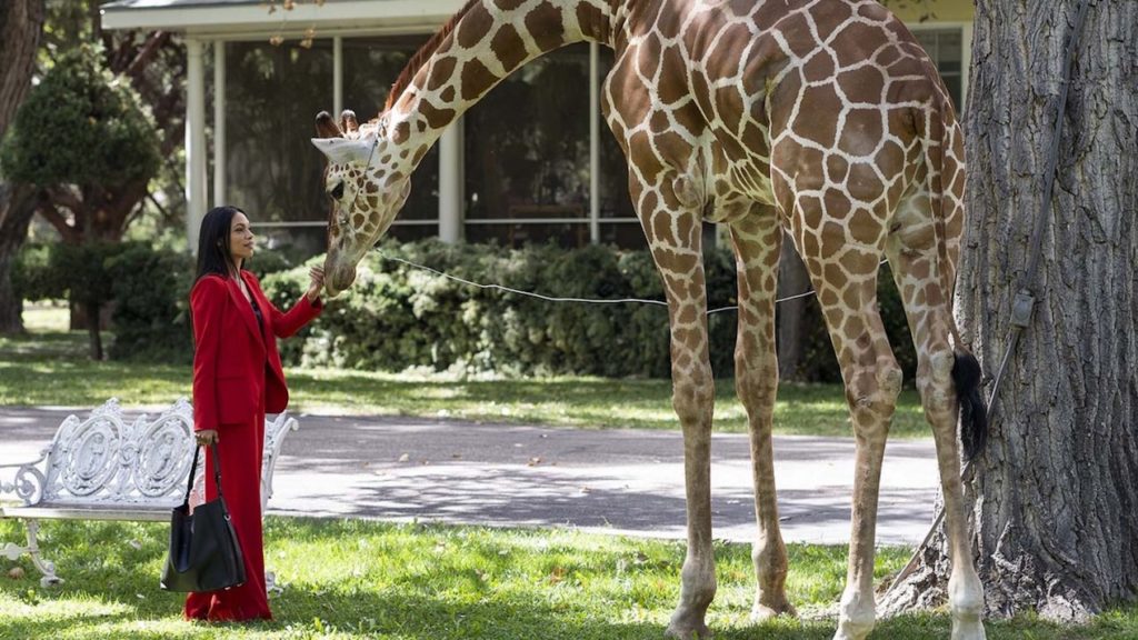 USA Network cancela la serie de Rosario Dawson tras una temporada