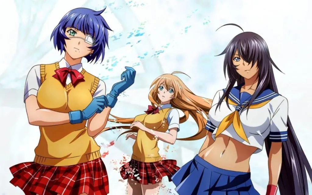 Estudios anime de Ikki Tousen y Elfen Lied se declaran en bancarrota
