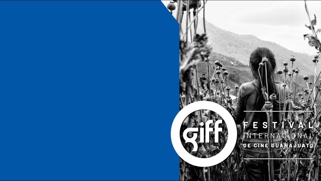 El Festival Internacional de Cine Guanajuato abre su convocatoria para la edición del 2022