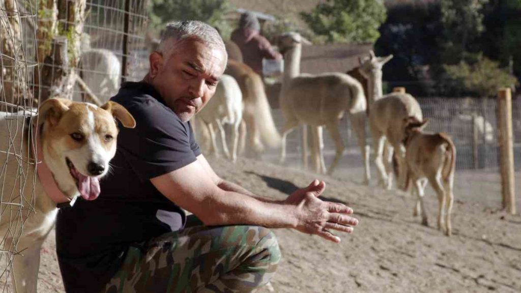 ¿Por qué amamos Better Human Better Dog, pese a la polémica con César Millán?