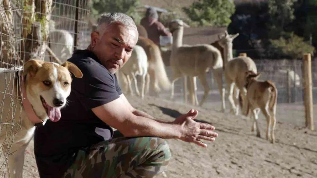 ¿Por qué amamos Better Human Better Dog, pese a la polémica con César Millán?
