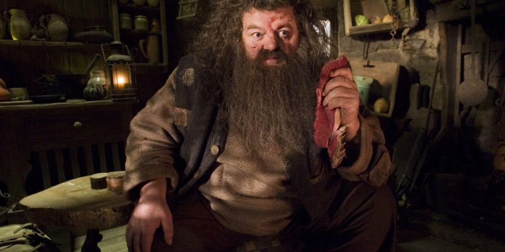 Robbie Coltrane, actor de Harry Potter, fallece a los 72 años