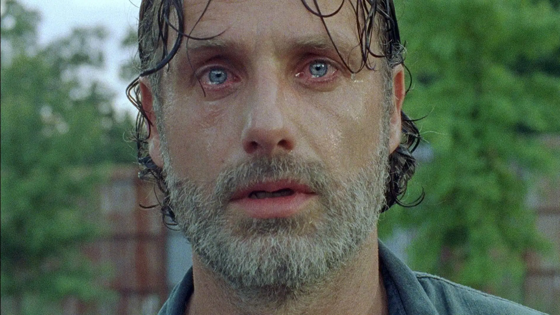 Los fans despidieron a The Walking Dead en redes con muchísimo amor