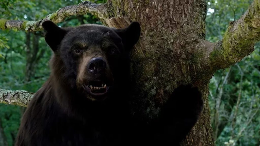 Esta es la verdadera y peligrosa historia detrás de Cocaine Bear