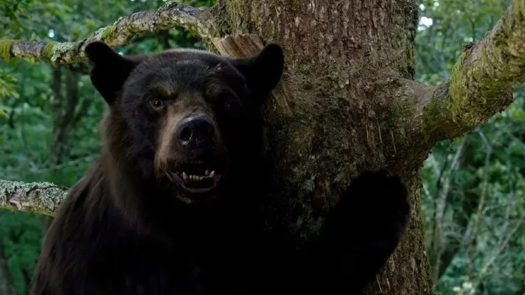Esta es la verdadera y peligrosa historia detrás de Cocaine Bear
