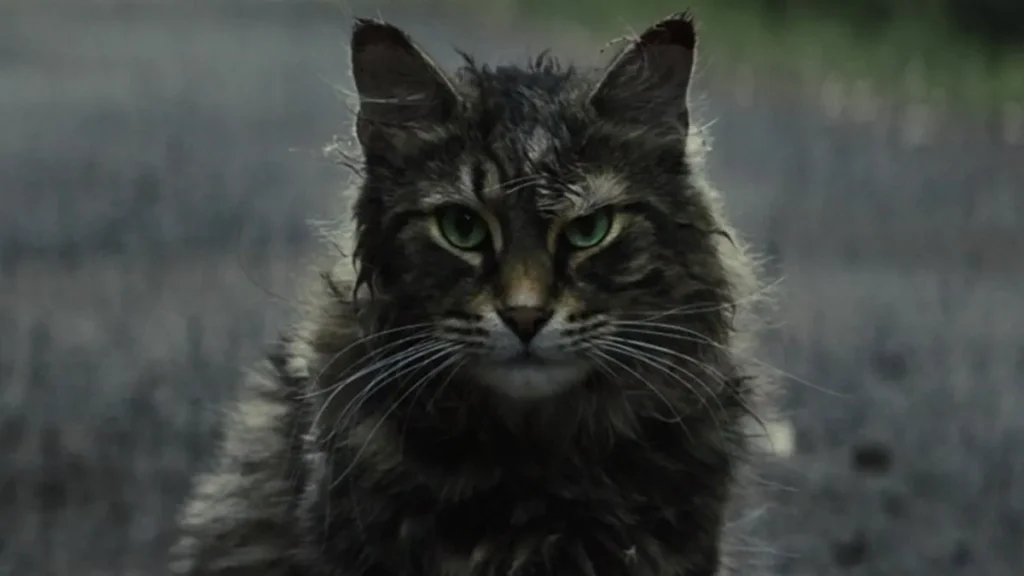 ¡Volveremos al Cementerio De Animales! Paramount Plus anuncia una precuela del libro de Stephen King