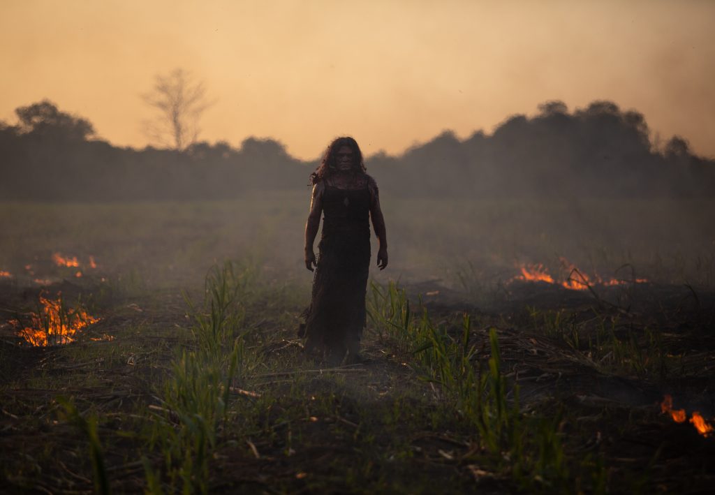 ¡Conoce la Selección Oficial del Festival Internacional de Cine de Morelia 2023!