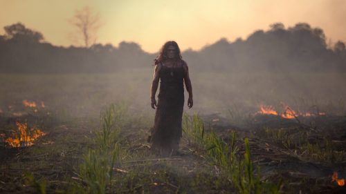 FICM 2023: Temporada de Huracanes de Elisa Miller tiene un mensaje más universal que particularmente mexicano