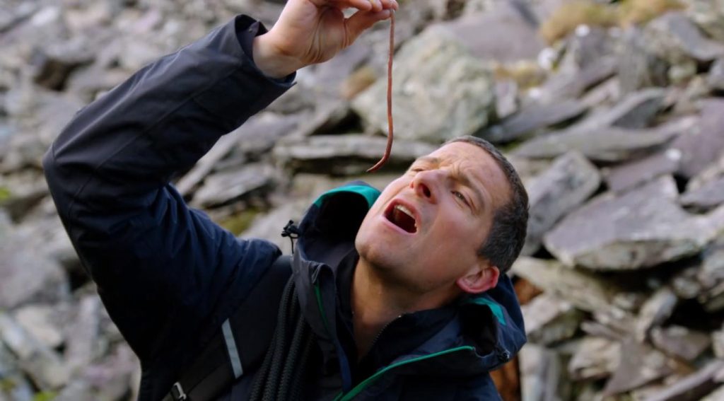 ¿Quieres ser un experto en supervivencia? ¡Entonces tienes que ver Bear Grylls!
