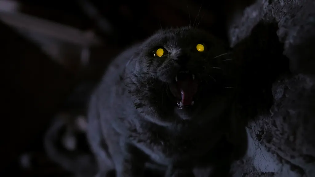 25 años de Pet Sematary: todo lo que necesitas saber de este clásico de terror