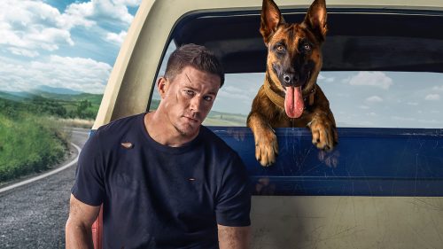 ¡El mejor amigo del hombre! Las mejores películas sobre relaciones entre humanos y perros