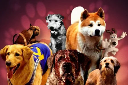 ¿Cómo funciona Does the Dog Die, el sitio web que spoilea el destino de los animales de películas y series?
