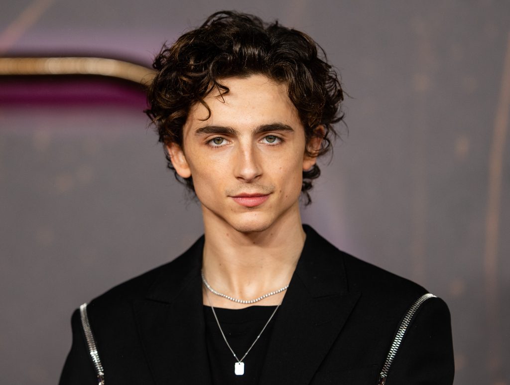 El pasado desconocido de Timothée Chalamet