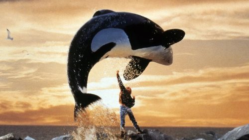 Liberen a Willy
