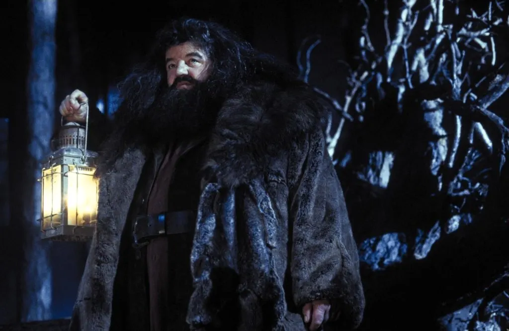 La serie de Harry Potter revela a su Hagrid