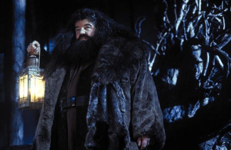 La serie de Harry Potter revela a su Hagrid