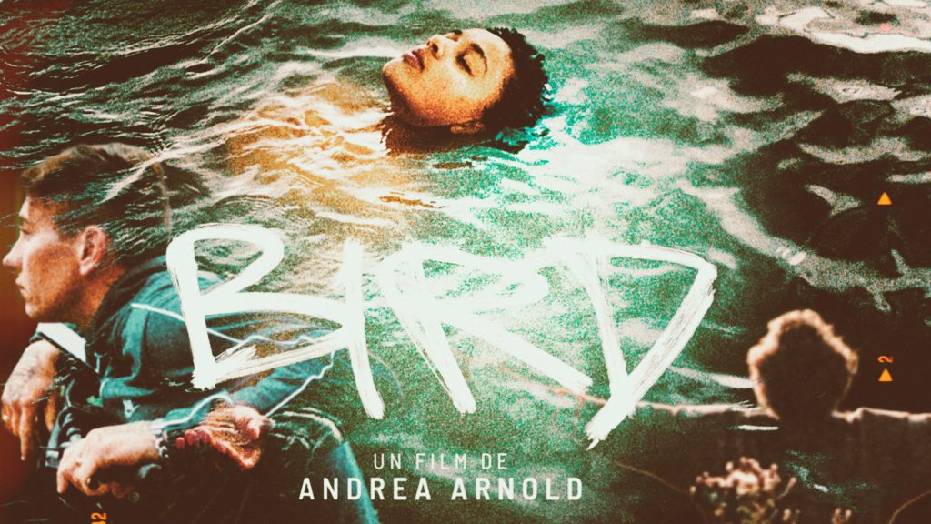 Bird, la magia dolorosa de crecer