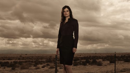 Betsy Brandt y Michiel Huisman se suman a la nueva temporada de Las Brujas de Mayfair