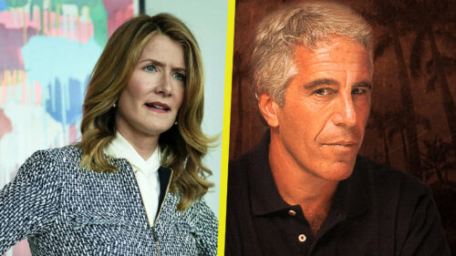 Laura Dern en Big Little Lies; Who Killed Jeffrey Epstein?
