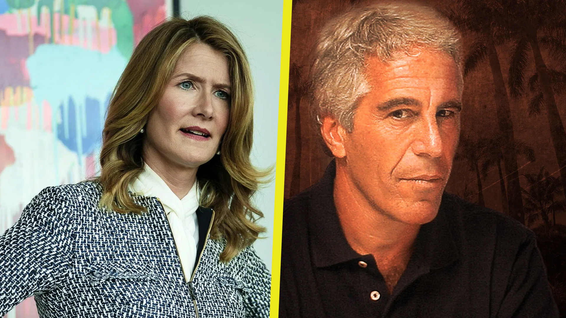 Laura Dern en Big Little Lies; Who Killed Jeffrey Epstein?