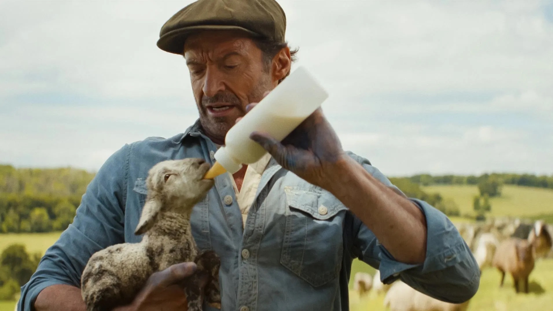 Hugh Jackman en Las Ovejas Detectives