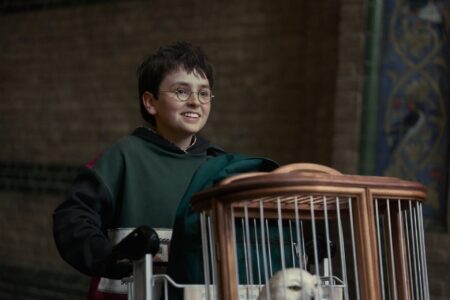 Dominic McLaughlin en Harry Potter y la Piedra Filosofal