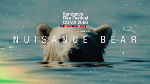 Review: Nuisance bear, una lucha por la supervivencia