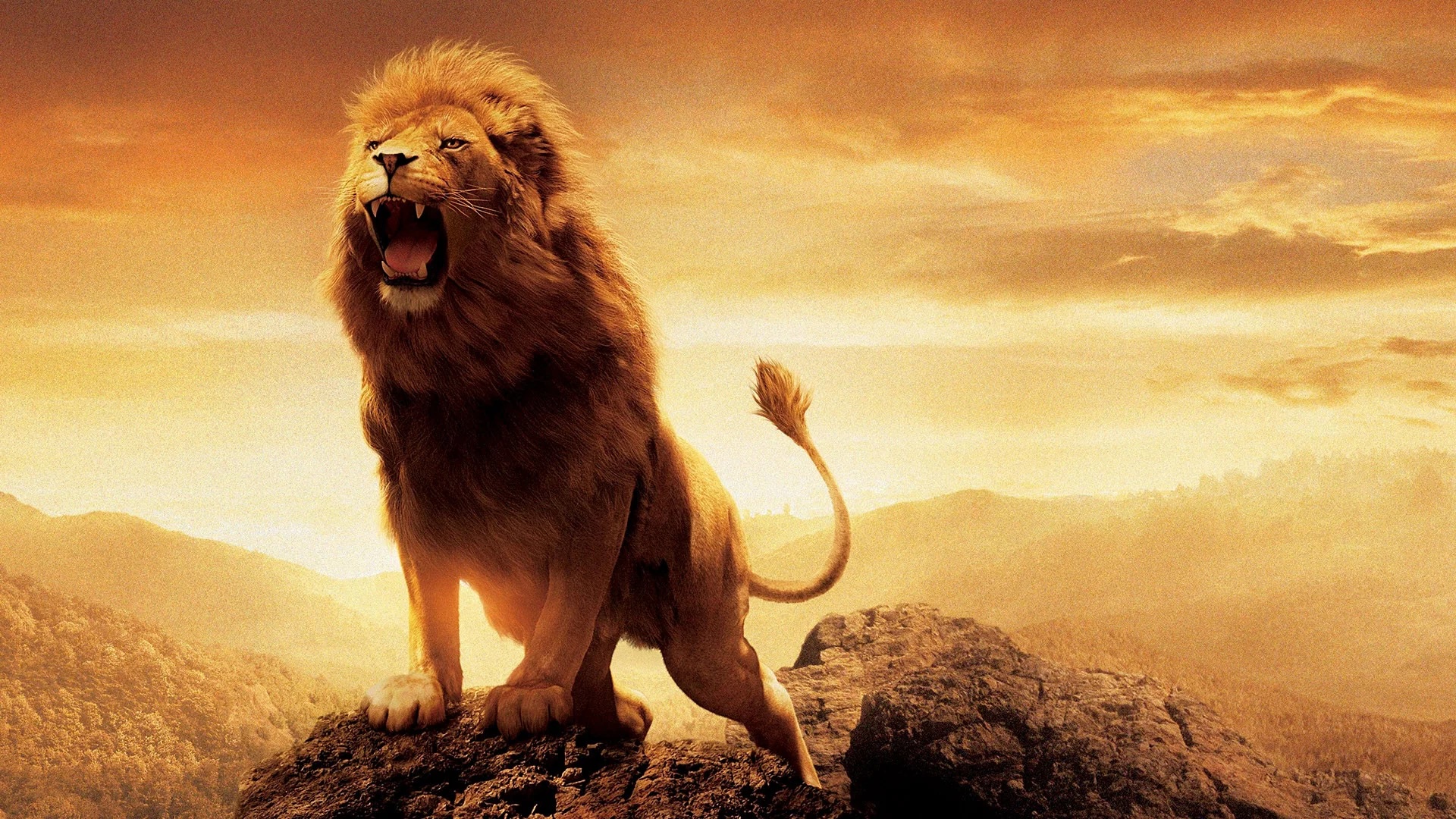 Las crónicas de Narnia: El león, la bruja y el ropero