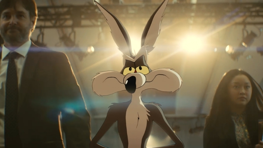 Review de Coyote vs Acme