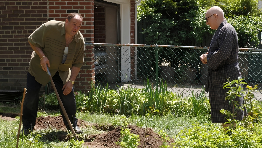impacto de James Gandolfini