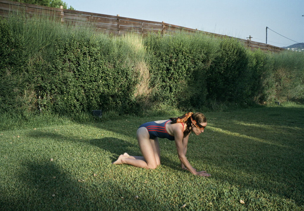 Dogtooth: Canino
