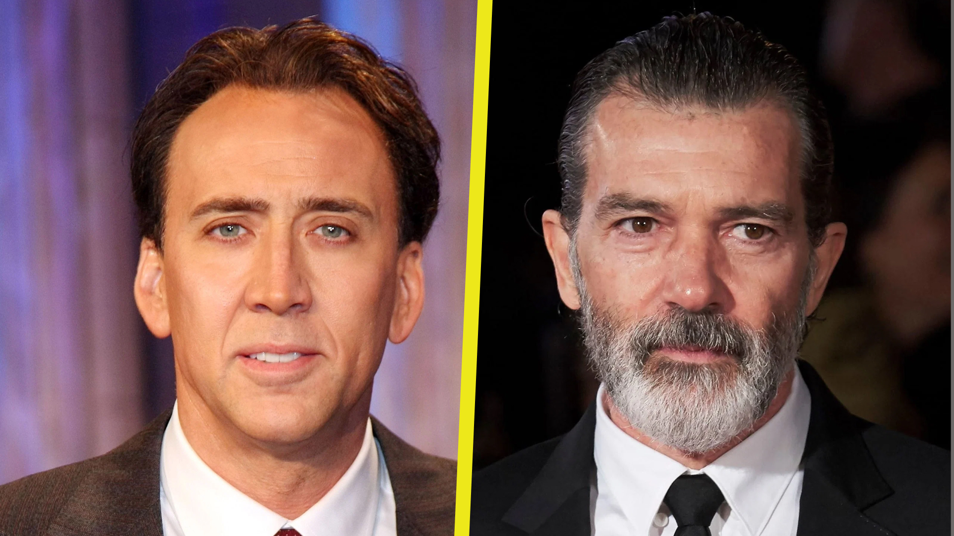 Nicolas Cage; Antonio Banderas