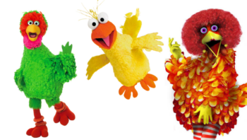 ¿Cuál es el verdadero?: Así luce y son los nombres de Big Bird en el mundo 