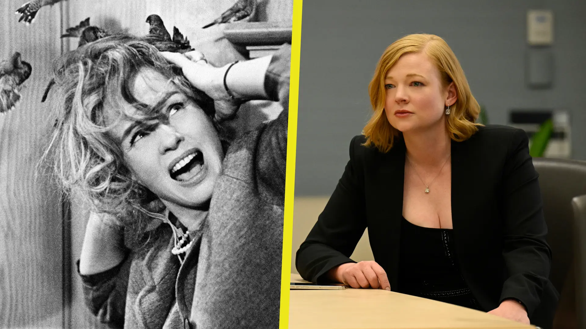 Los Pájaros_Sarah Snook